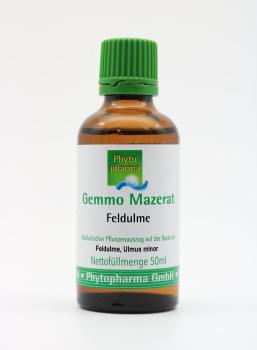 Gemmo Mazerat Feldulme (Ulmus minor)